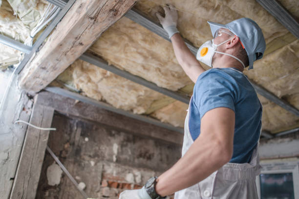 Best Specialized Insulation Services in Abbotsford, WI