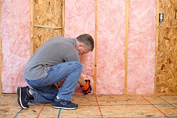 Best Energy Efficiency Insulation in Abbotsford, WI